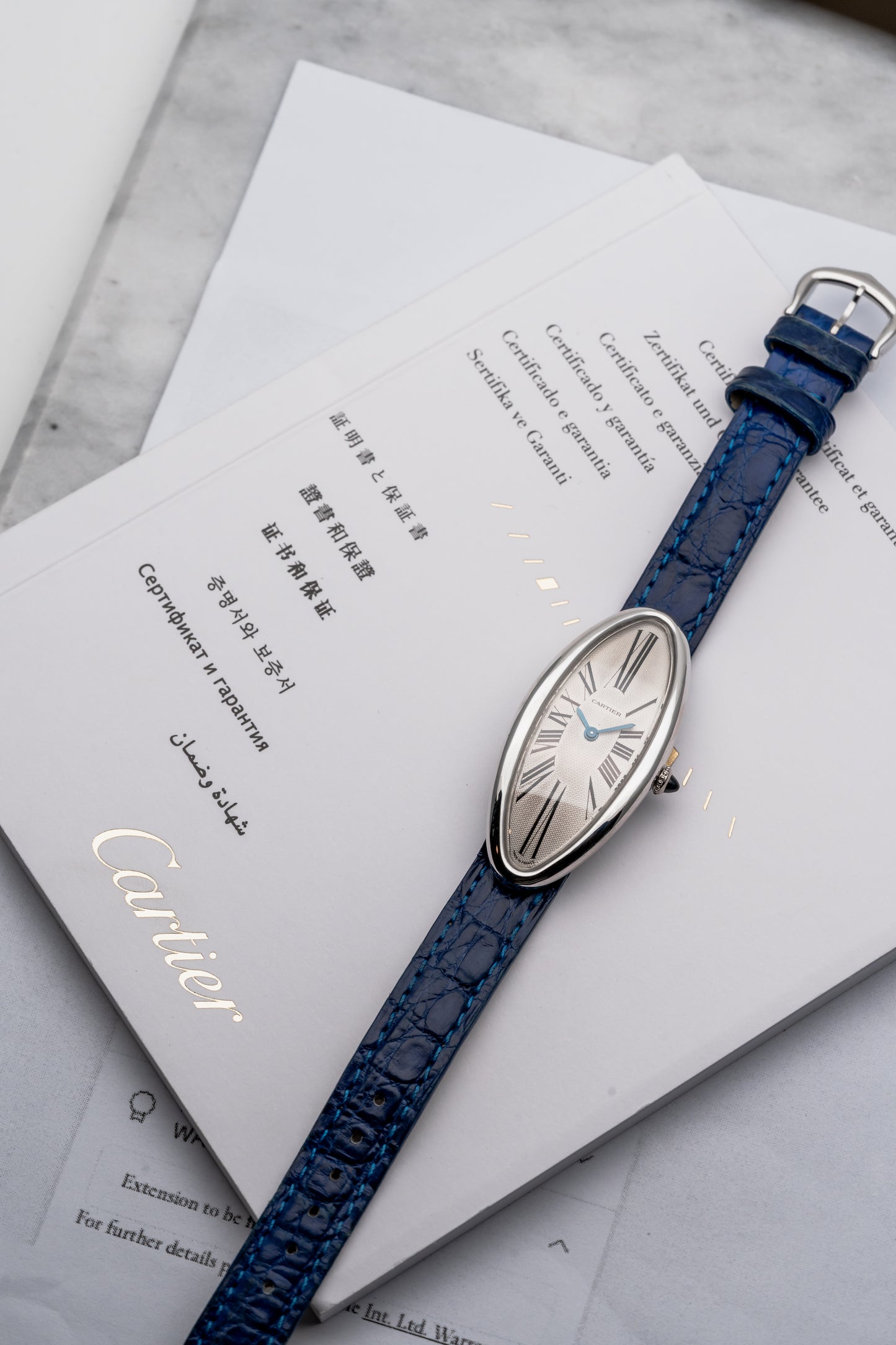 Cartier Baignoire Allongée 2604, Silver Guilloché Dial
