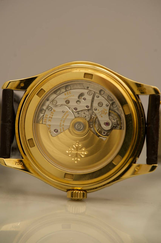 Patek Philippe Annual Calendar 5146J Grey