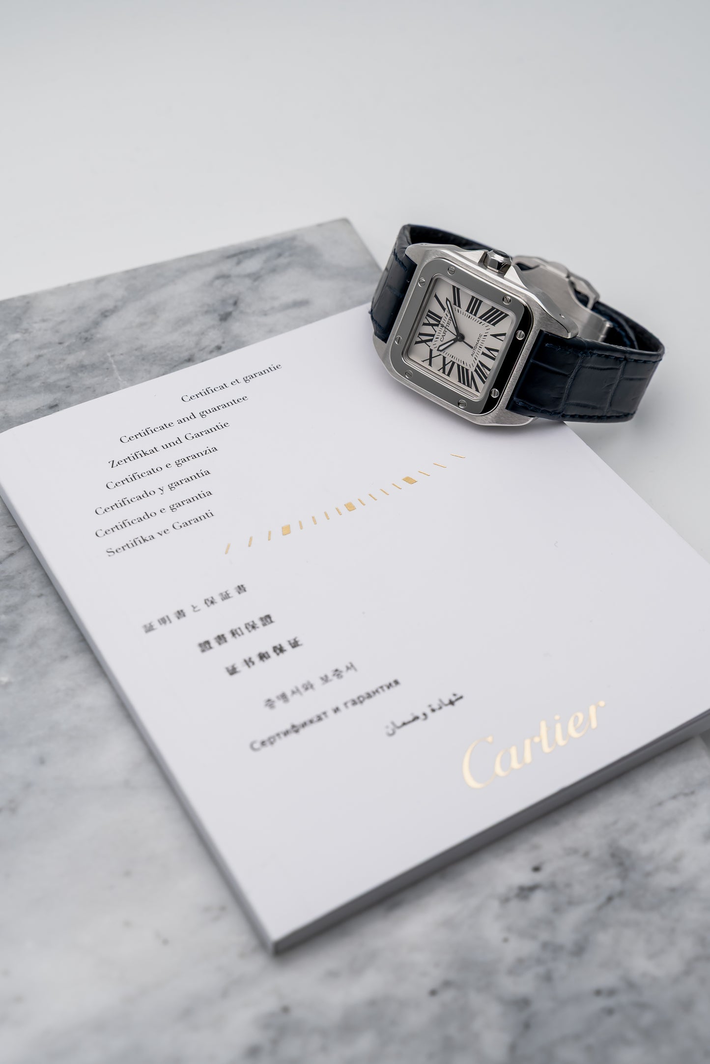 Cartier W20106X8 Santos Medium Silver Dial