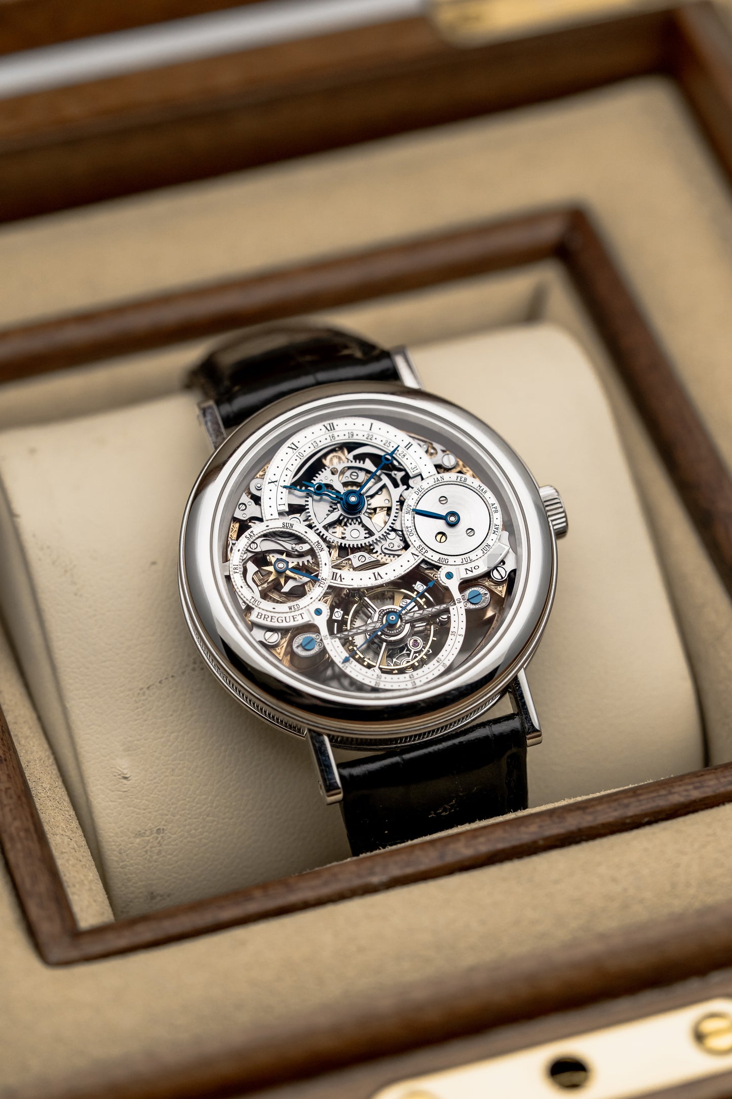 Breguet Tourbillon Perpetual 3755PR/1E/9V6 Skeleton Platinum, Skeleton Dial